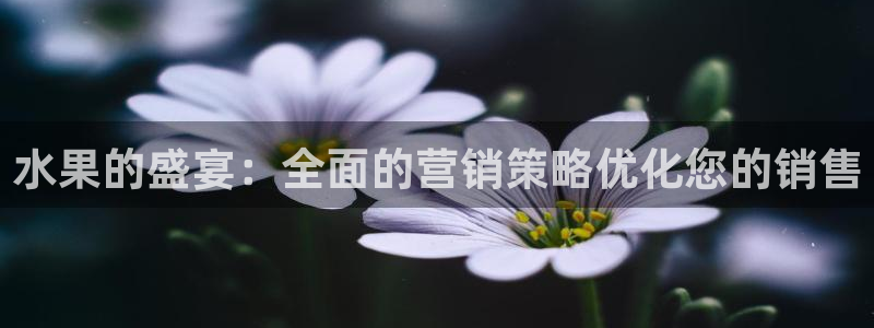 必赢手机app下载安装