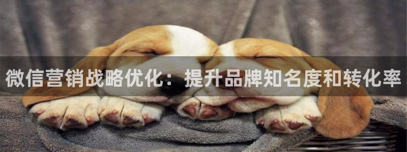 必赢3003手机网页版