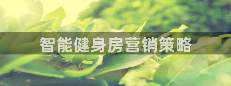 必赢手机app下载