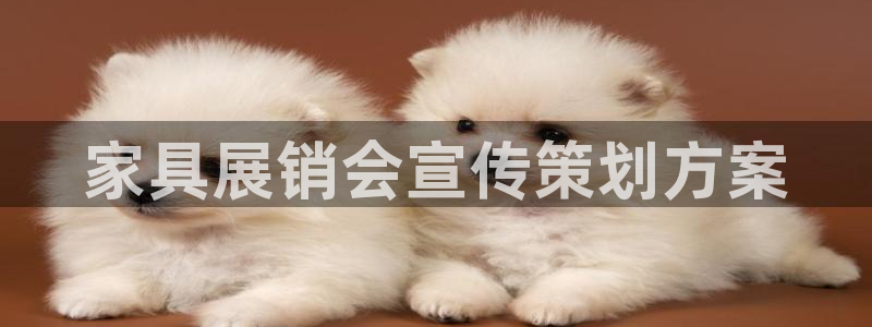 必赢必赢