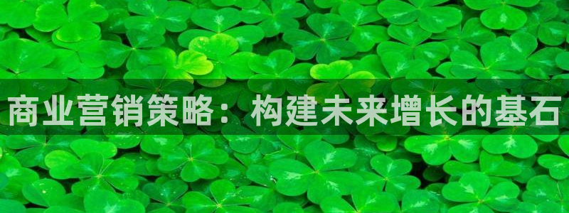 必赢网下载