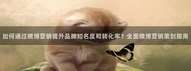 必赢网址手机主页打不开