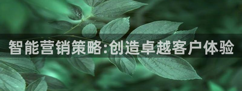 必赢app客户端下载