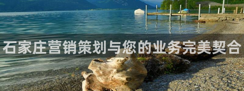 必赢必赢