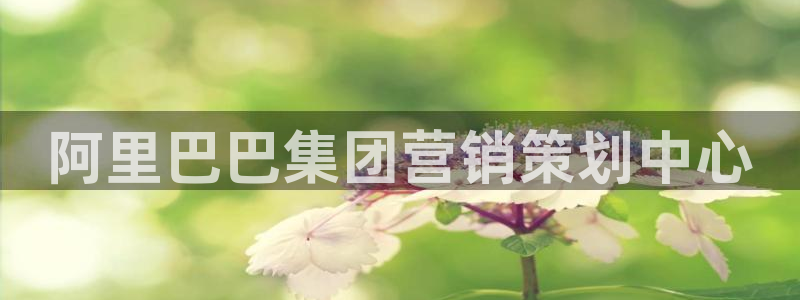 必赢手机app下载抢红包