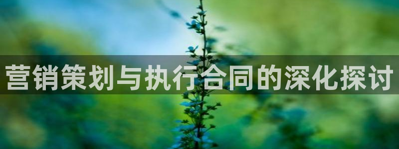 必赢官网网址多少号登录的