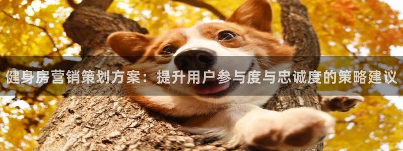 必赢科技