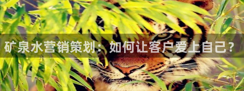 必赢app客户端下载