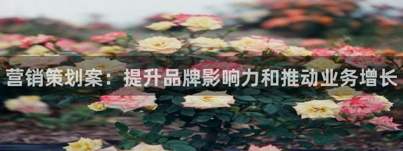 必赢516net怎么进