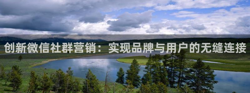 必赢平台网