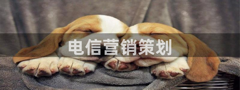 必赢72882网址