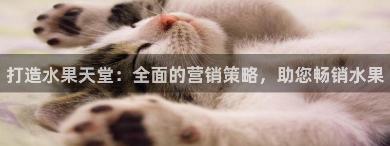 必赢官网app下载安装苹果版