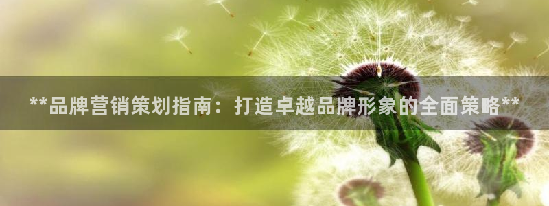 必赢官网入口下载安装