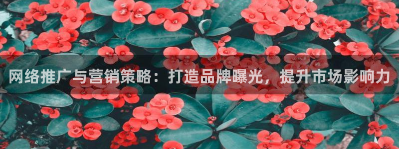 必赢官网入口下载安装苹果