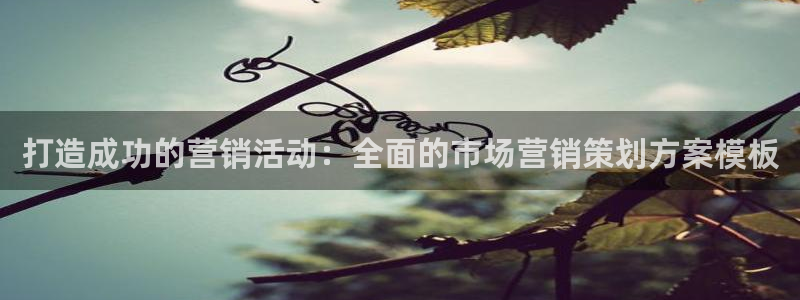 必赢网址手机主页在哪