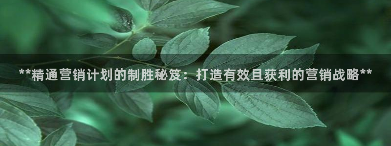 必赢官网入口下载app