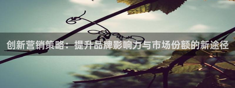 必赢手机app下载安装最新版