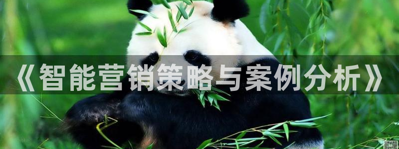 必赢官网网站