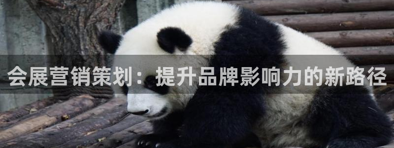 必赢科技有限公司