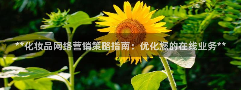 必赢网址手机主页