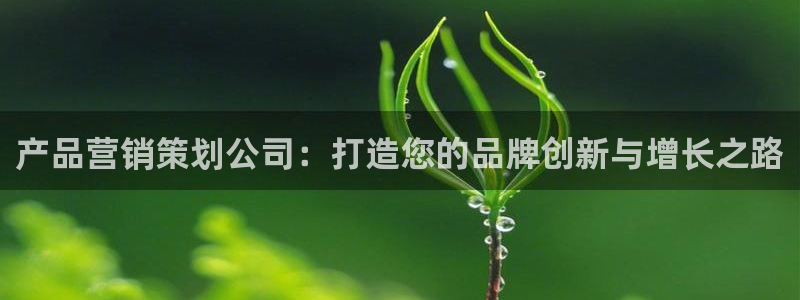 必赢手机app下载抢红包