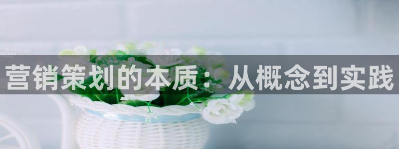 必赢国际437
