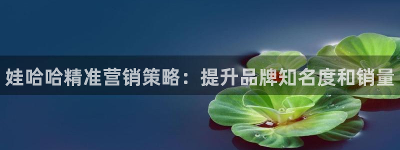 必赢手机app下载 最新版安装