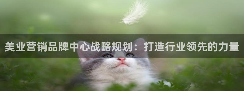 必赢资讯下载