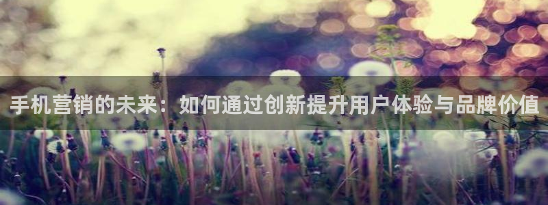 必赢手机版网站多少