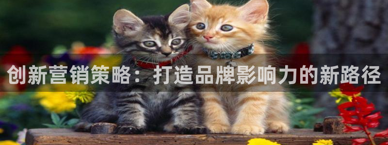 必赢官网网站首页