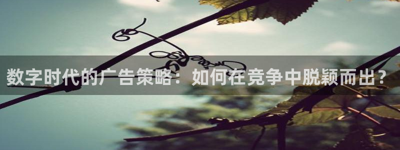 必赢棋脾