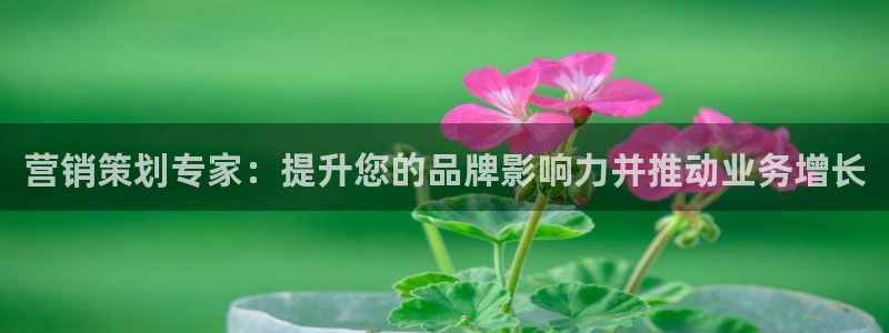 必赢平台官方网址