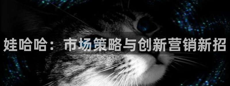 必赢国际437a