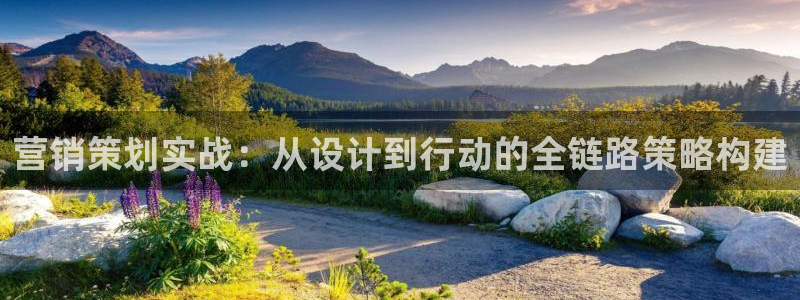 必赢手机app下载官网