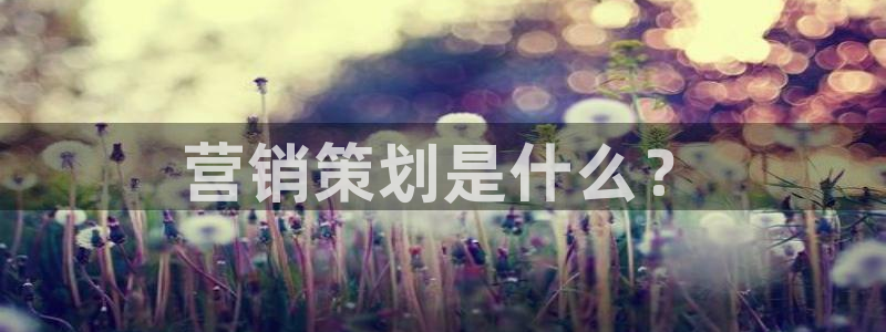 9965必赢苹果下载