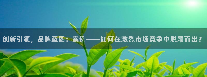 必赢官网入口下载安装苹果