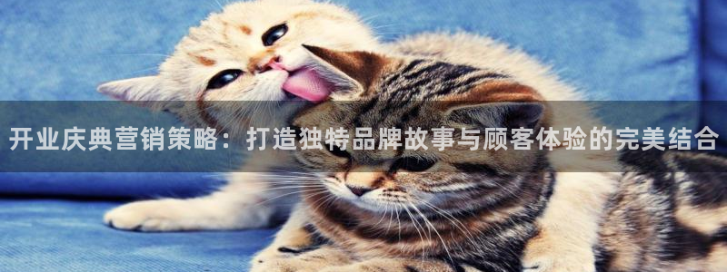 必赢网址谁知道的