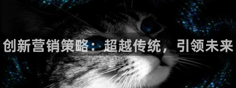 必赢72886网址多少啊