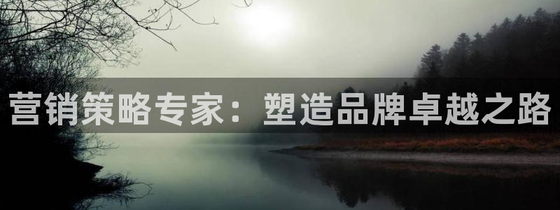 必赢手机版官网