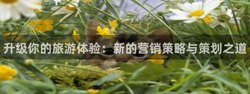 必赢网址手机主页在哪