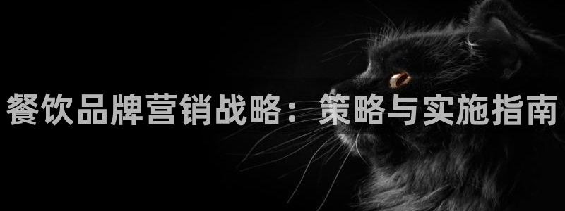 必赢net.95