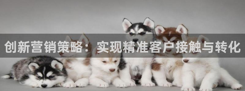 必赢网站进去：创新营销策略：实