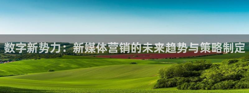 必赢国际网站合法吗：数字新势力
