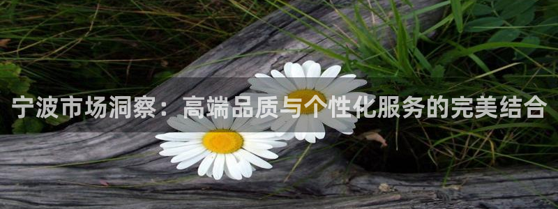 必赢手机app下载 最新版安装