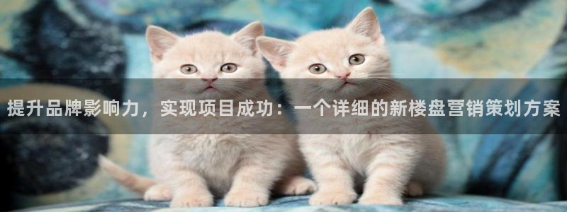 必赢集团网站官网