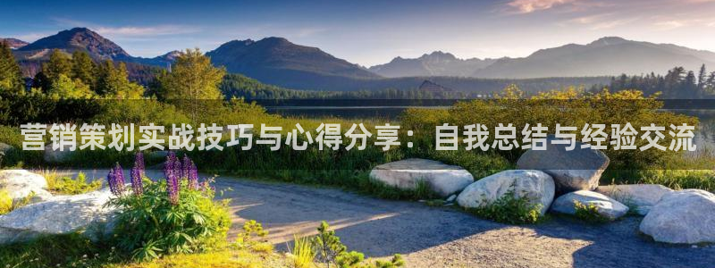 必赢这个平台怎么样：营销策划实