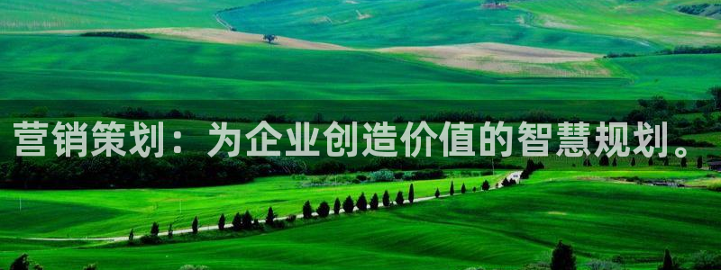 必赢网址手机主页：营销策划：为