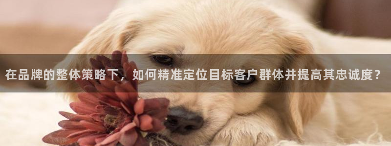 必赢的意思是什么