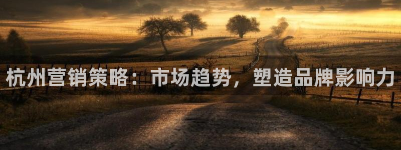 必赢这个软件怎么样啊