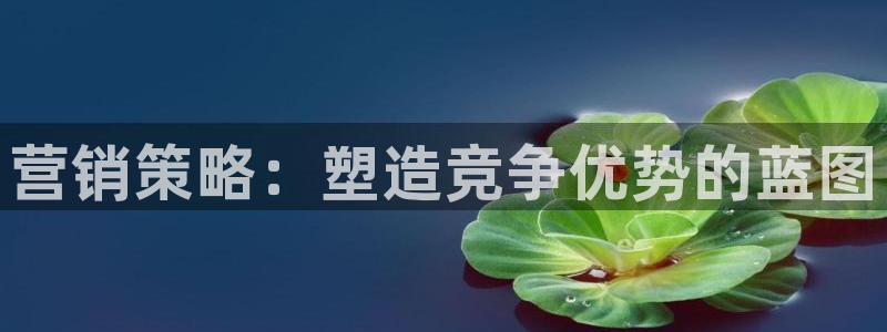 必赢网怎么打不开了呀：营销策略